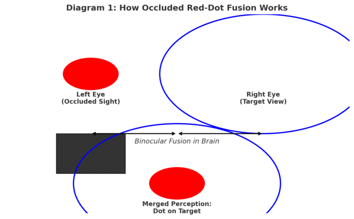 brain merges the occluded dot image